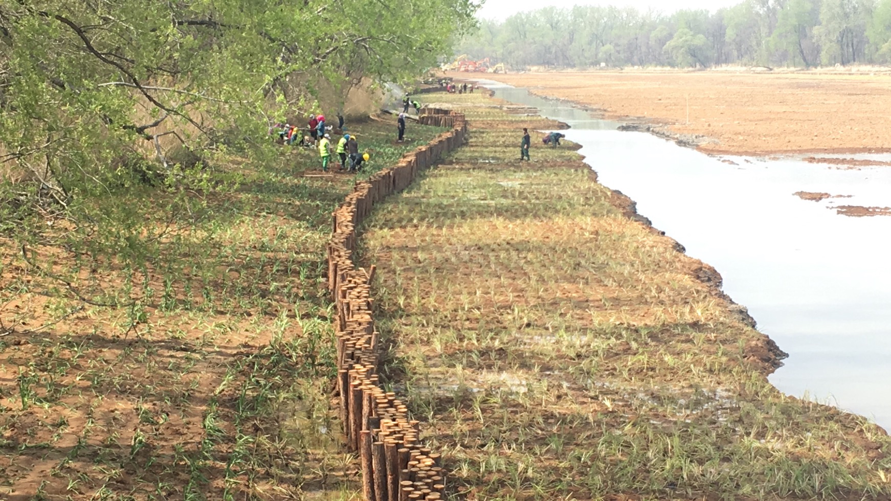秦皇岛北戴河湿地入海口水生态修复