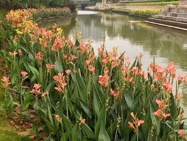 天津蓟州区美丽乡村项目