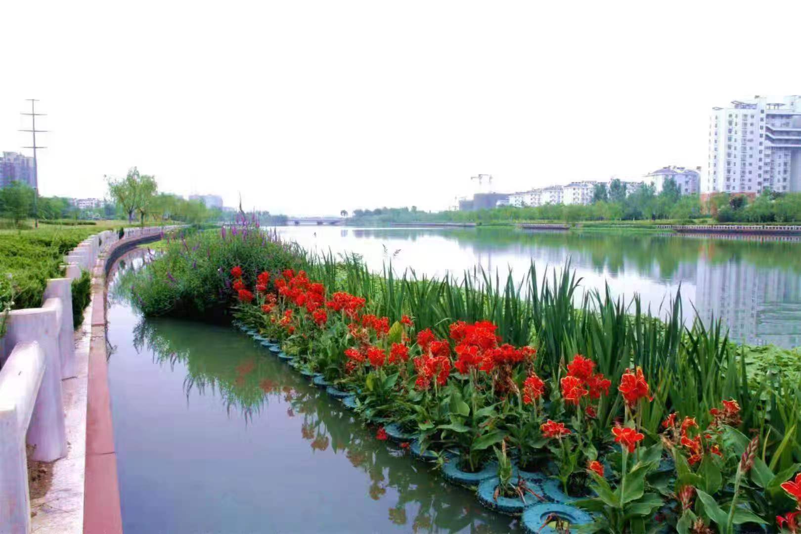 水生态修复的前景以及价值